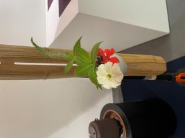 花嫁衣裳