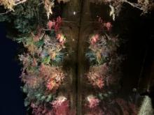 結婚してから恋愛してもいい