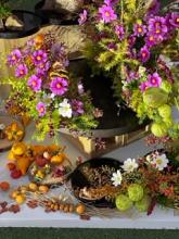 婚活は楽しみながら活動して欲しいです。