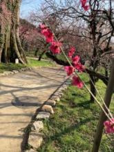 初対面の方との会話