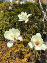 出会いから交際へと進む