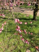 出会いが無い方は、是非婚活を始めて欲しいです