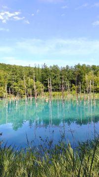 好きになるって難しいかな