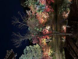 年末年始のデート