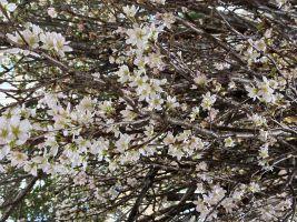 成婚へと繋がる結婚相談所