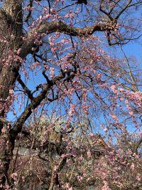 4月になりお問合せが多くなりました。